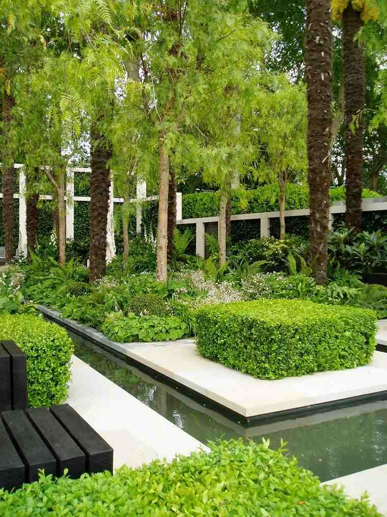 bassin de jardin moderne amenagement