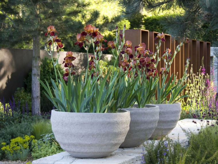 grand pot fleur exterieur terrasse style moderne