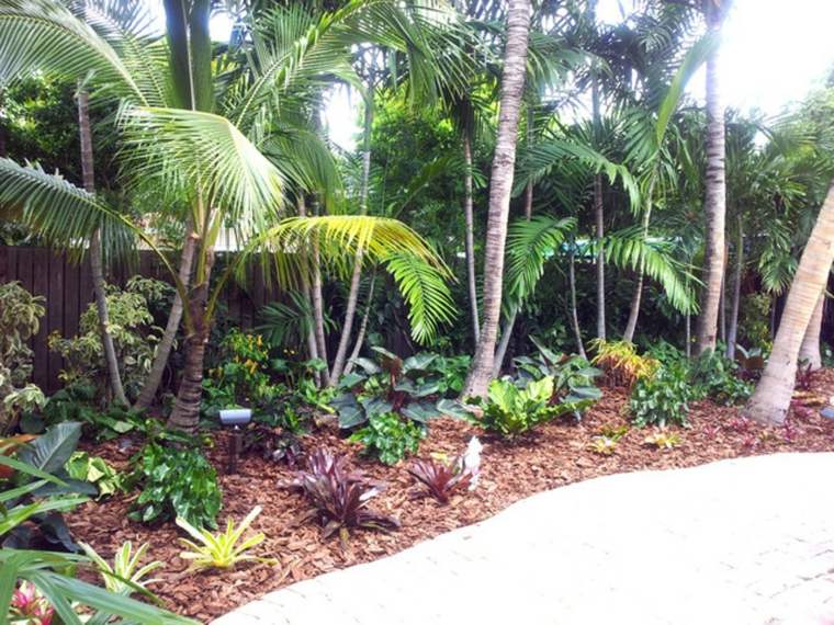 idées pour border la terrasse de palmiers