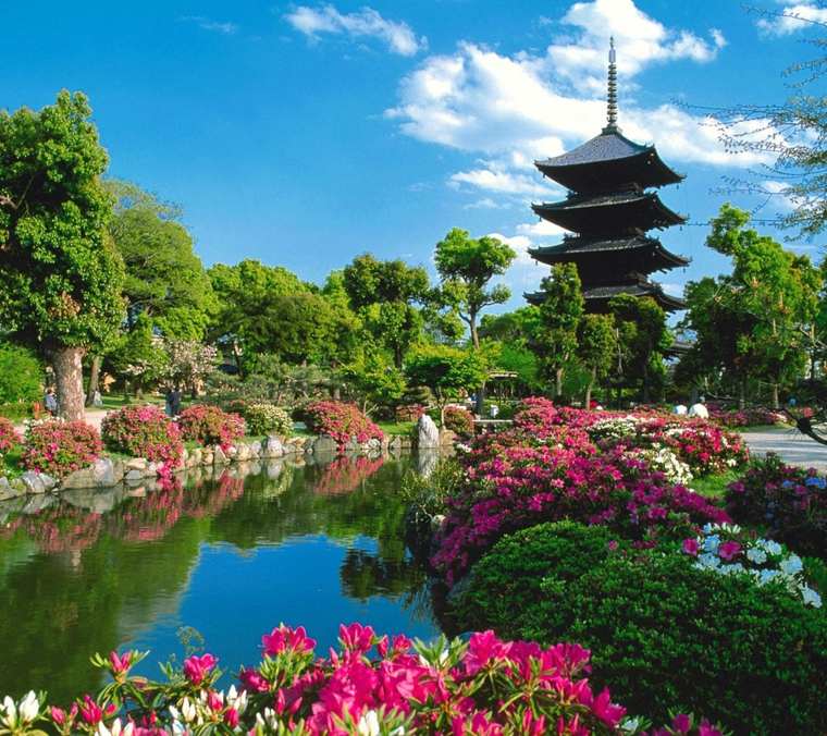 aménagement de jardin paysager style japonais
