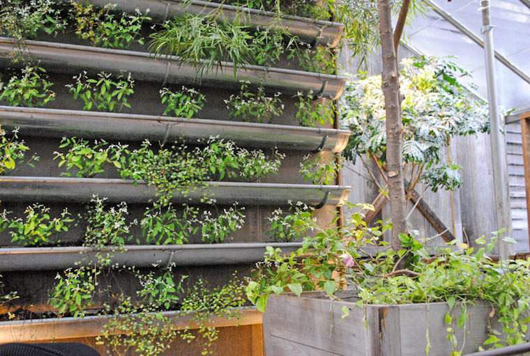 idée jardins verticaux potager vertical idée aménager 