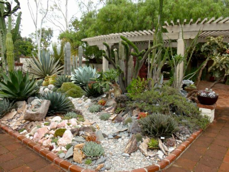 plantes jardin minimaliste cactus