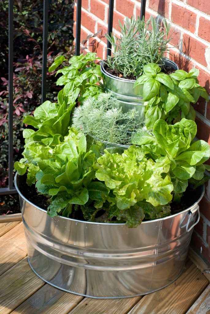 salade potager idée aménager espace terrasse extérieur 