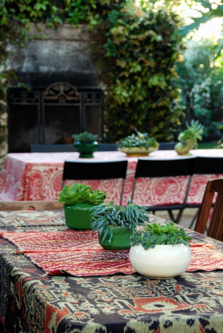 plante grasse décorer extérieur idée table à manger