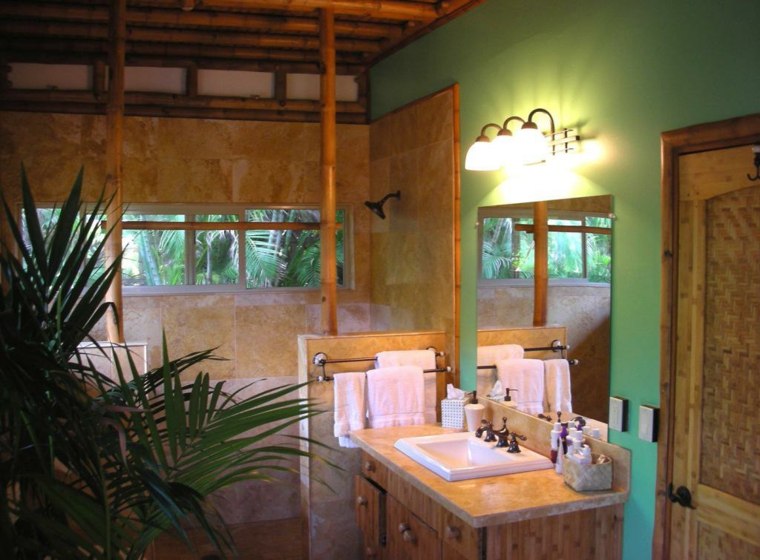 déco bambou salle de bains cabine douche plante