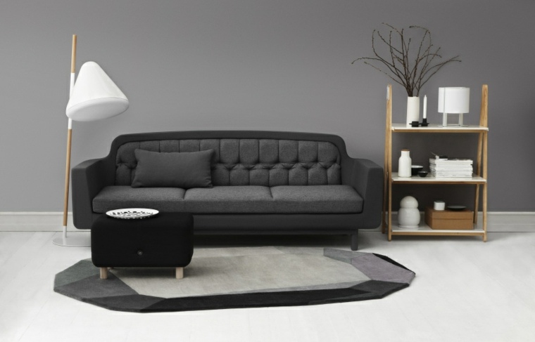 salon design moderne canapé gris étagères bois tapis sol