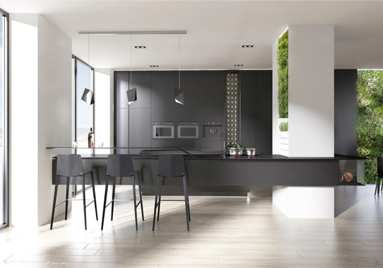 conception cuisine design ilot jardin vertical couleur noire