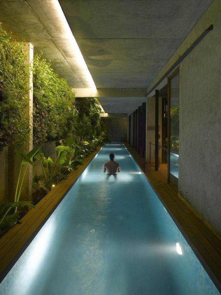couloirs de nage modèle petite piscine avec jardin