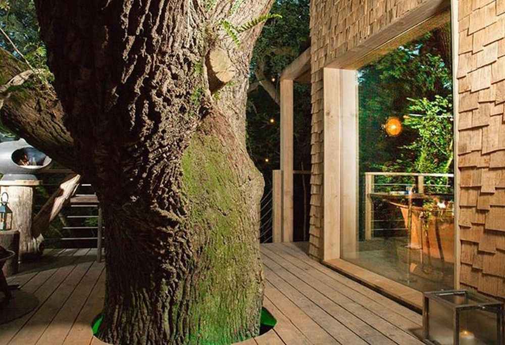 arbre terrasse fenetre bois hotel