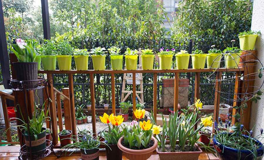 idee jardiniere originale fleurs pots terrasse