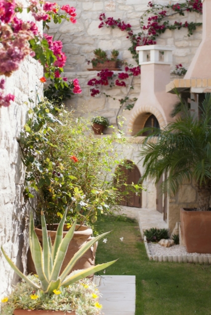 amenagement-jardin-exterieur-mediterraneen-image-jardin-grec