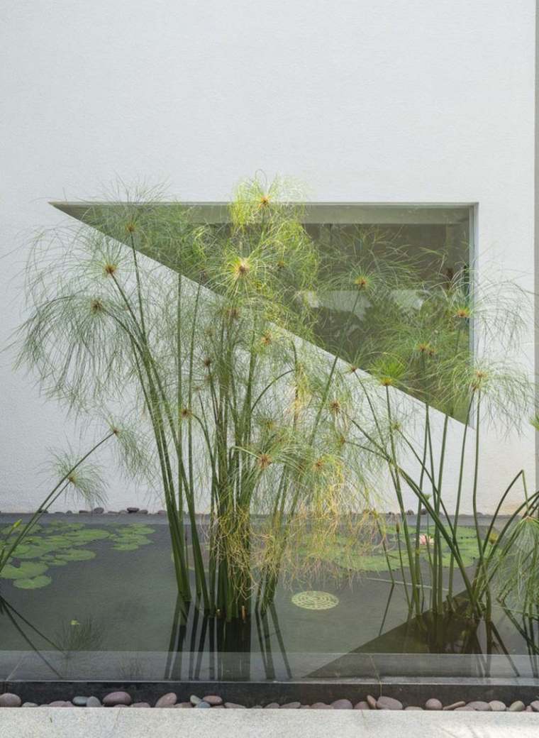 jardin-aquatique-decoration-exterieure-plante-verte-bassin-terrasse-image