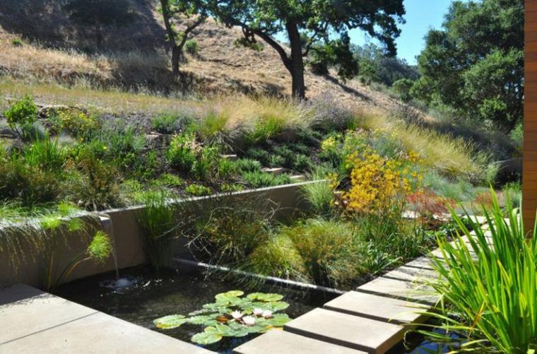 jardin-aquatique-terrasse-exterieur-design-amenagement-bassins-eau