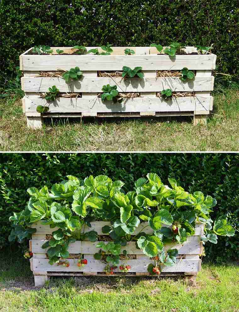 jardiniere palette bois fraises amenagement petit jardin potager exterieur