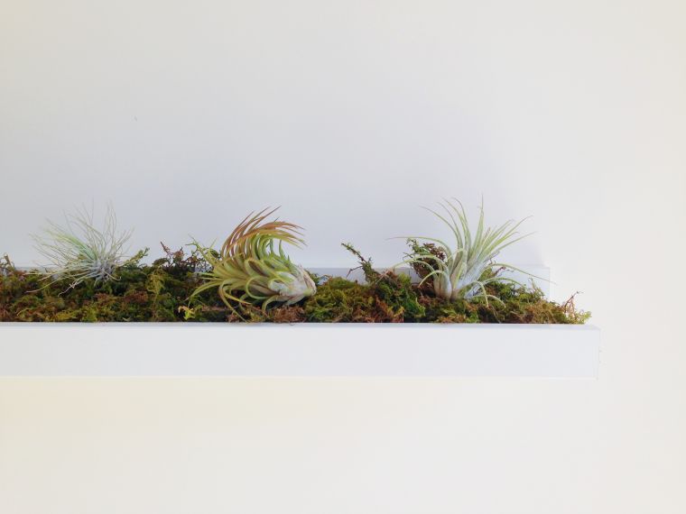 mur-vegetal-exterieur-a-faire-soi-meme-decoration-jardin-vertical-fabrication-idee