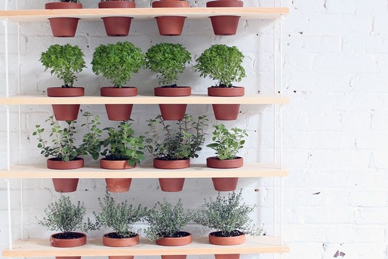 mur-vegetal-exterieur-a-faire-soi-meme-jardin-vertical-pot-de-fleur-idee-etageres