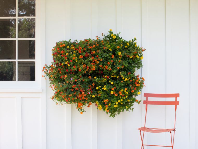 mur-vegetal-exterieur-a-faire-soi-meme-jardiniere-verticale-pot-mural-fleurs-tombantes
