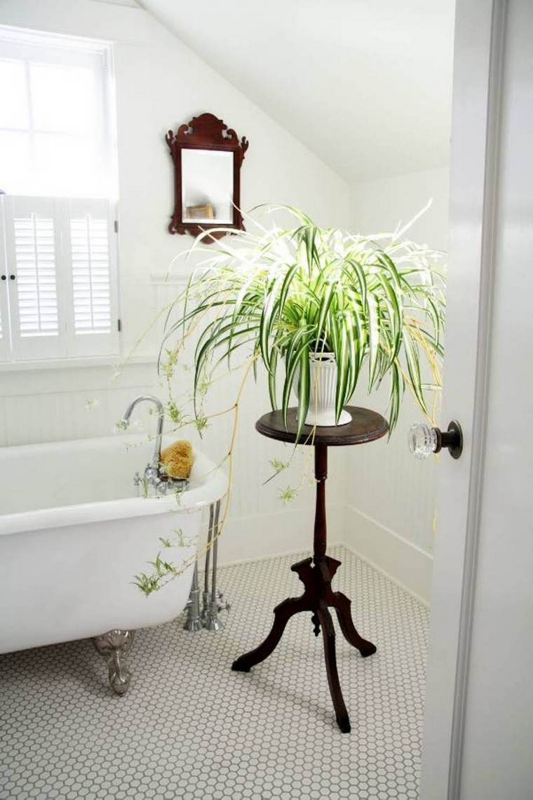 déco salle de bain nature idée plante design miroir baignoire