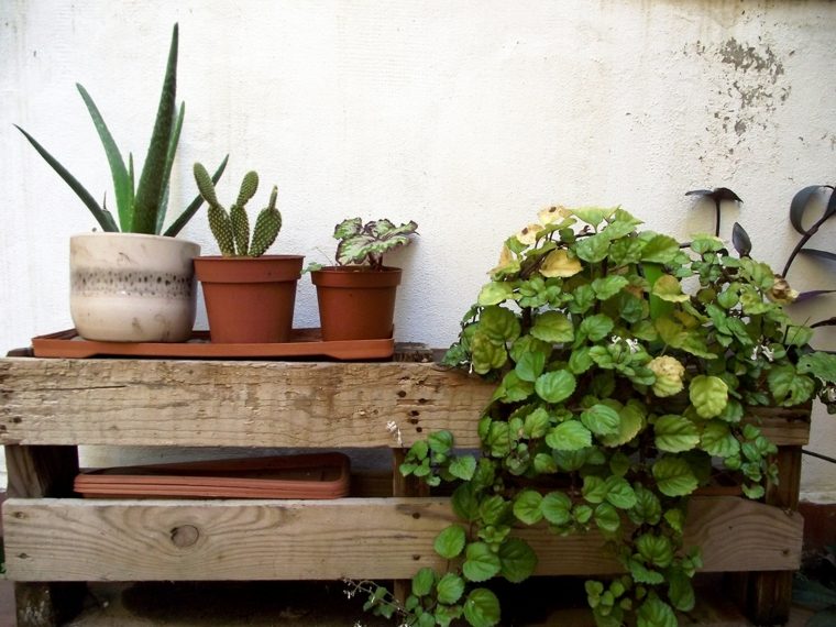 porte plante palette jardin exterieur idee diy deco meuble bois pas cher