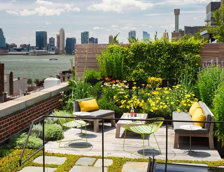 toit-terrasse-ocean-vegetalise-plantes