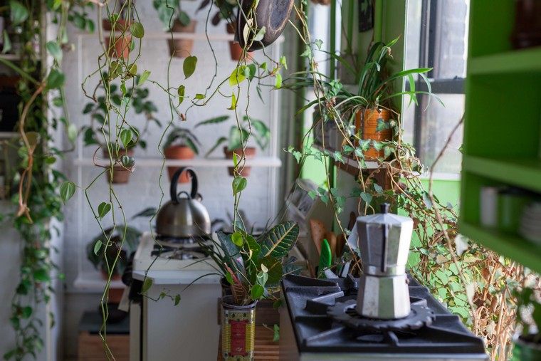 plantes intérieur idée suspension plantes pots déco