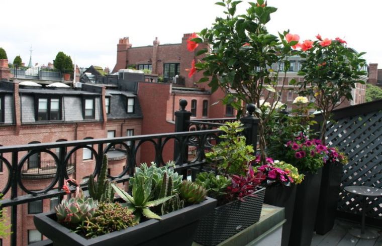 fleurs-deco-terrasse-balcon-ville