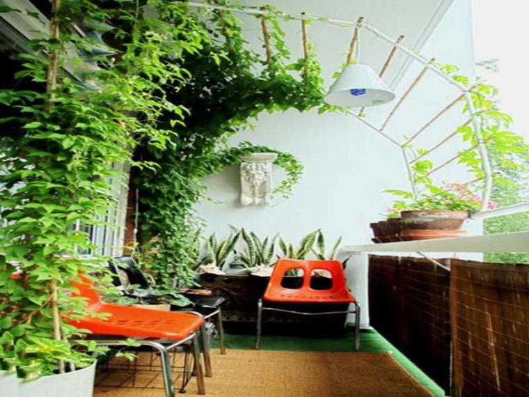 idee-toit-plantes-vertes