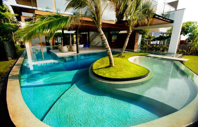 ilot-piscine-palmier-reve