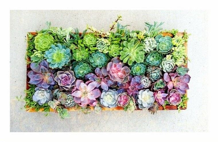 mur-vegetal-tableau-idee-art-mural