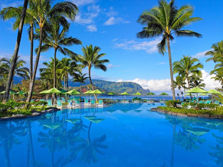 piscine-montagnes-palmiers-parasols