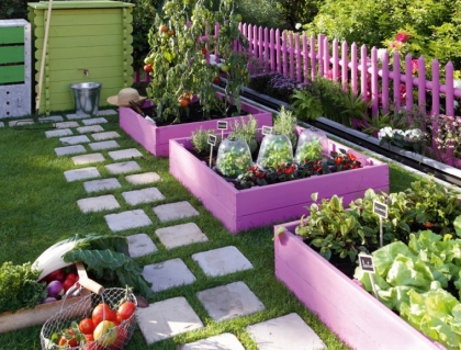 potager-légumes-bois-violet