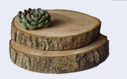 style-champetre-tronc-d-arbre-support-plat-deco