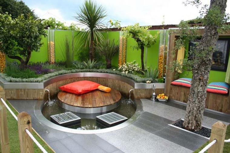 bassin-eau-exotique-plantes