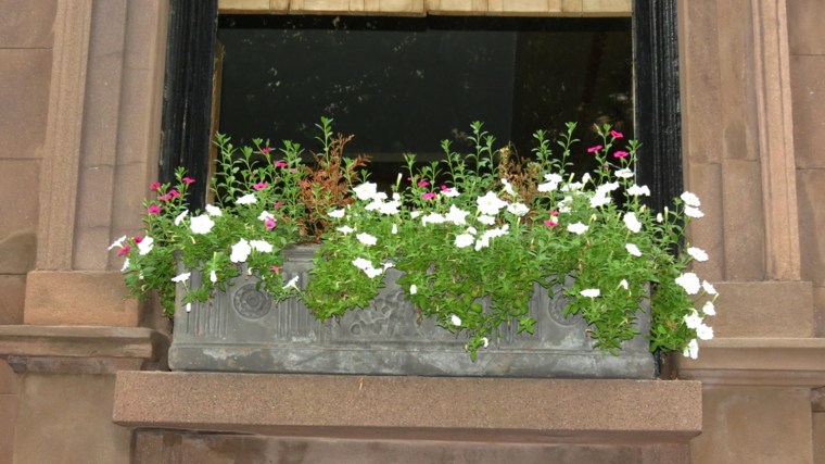 jardiniere pour-enjoliver-fenetres-balcons