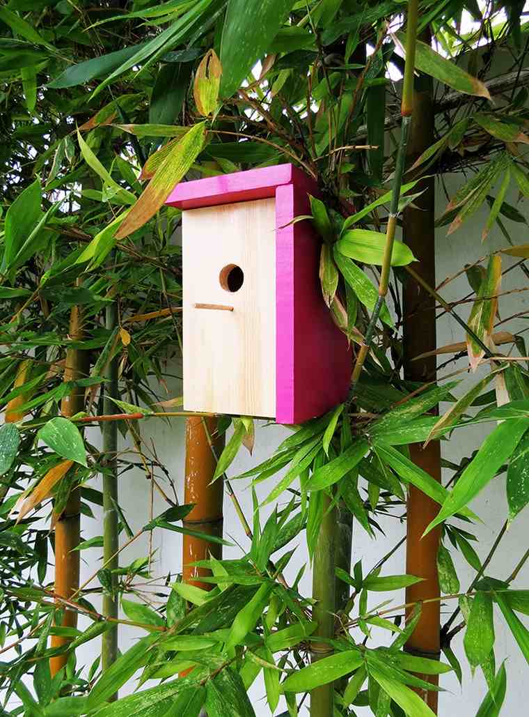 nichoir à oiseaux jardin idée brico fabriquer maison