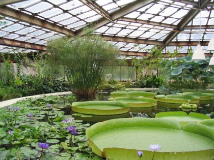 jardin-botanique-construction-protection