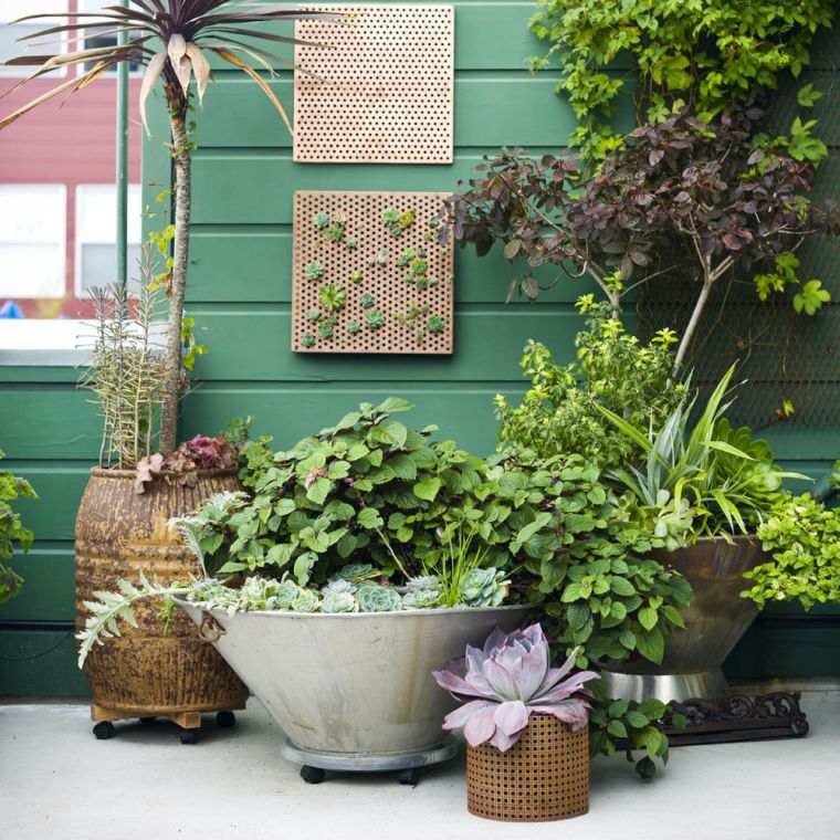 petit-jardin-amenagement-pot-de-fleur-mur-vegetal