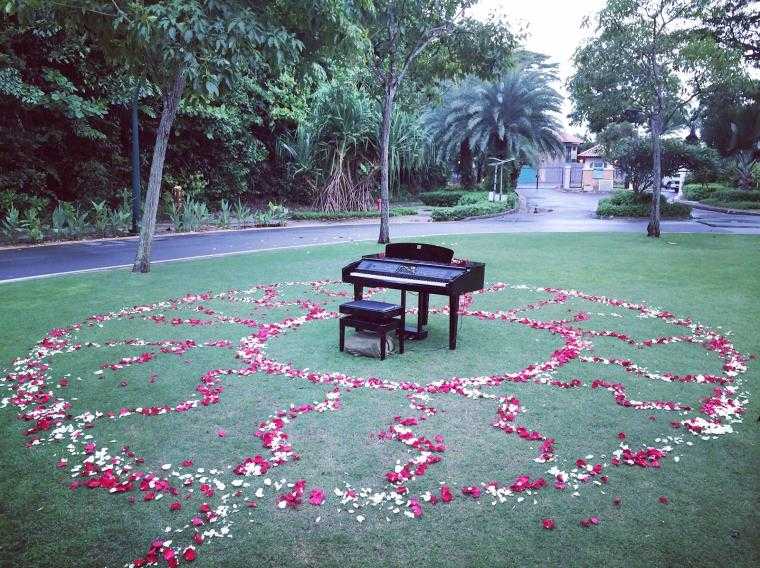 idee-jardin-piano-fleurs