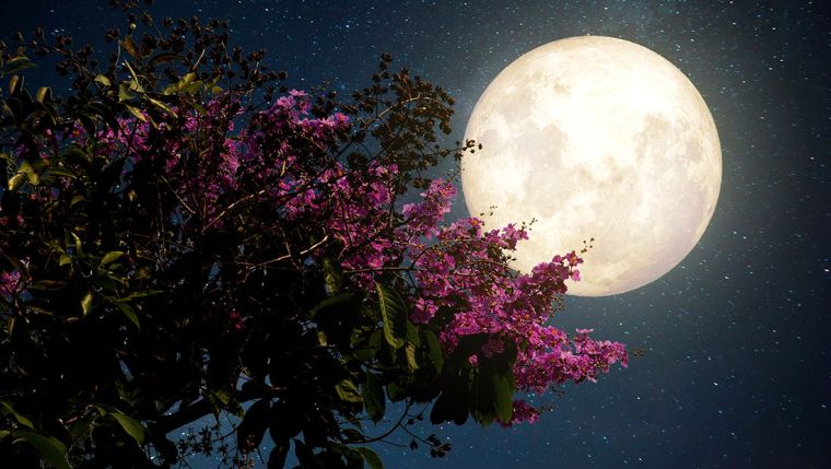jardiner-avec-la-lune-semer-planter-calendrier-lunaire-2017