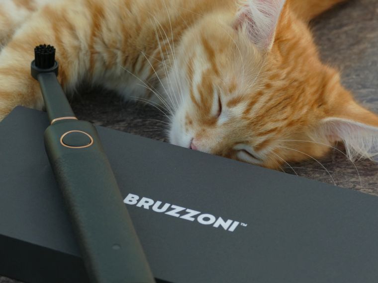 brosse-a-dent-electrique-ou-manuelle-comparatif-choix-conseils