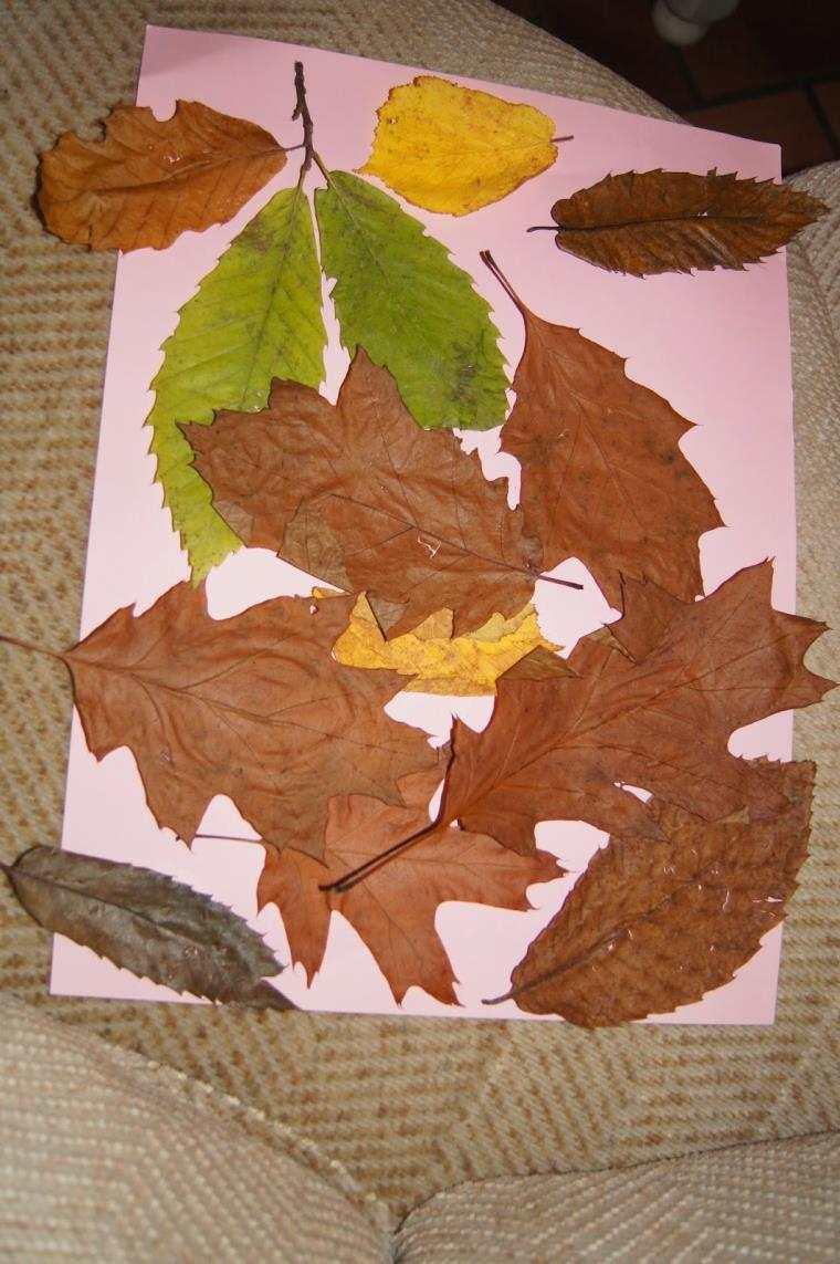 idee-collage-feuilles-arbre-tuto