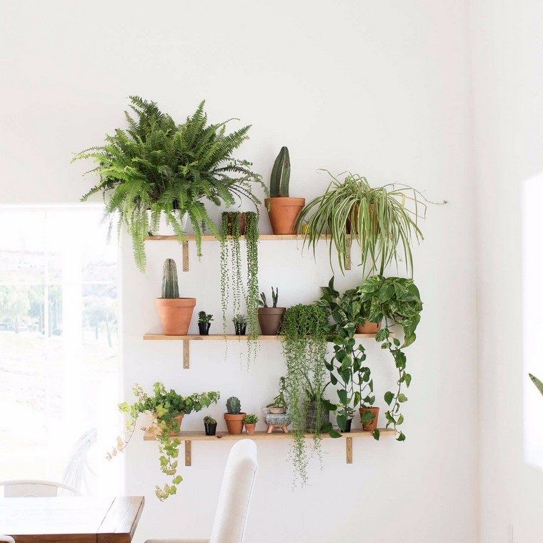 fabriquer un mur végétal intérieur idée brico déco plantes pots