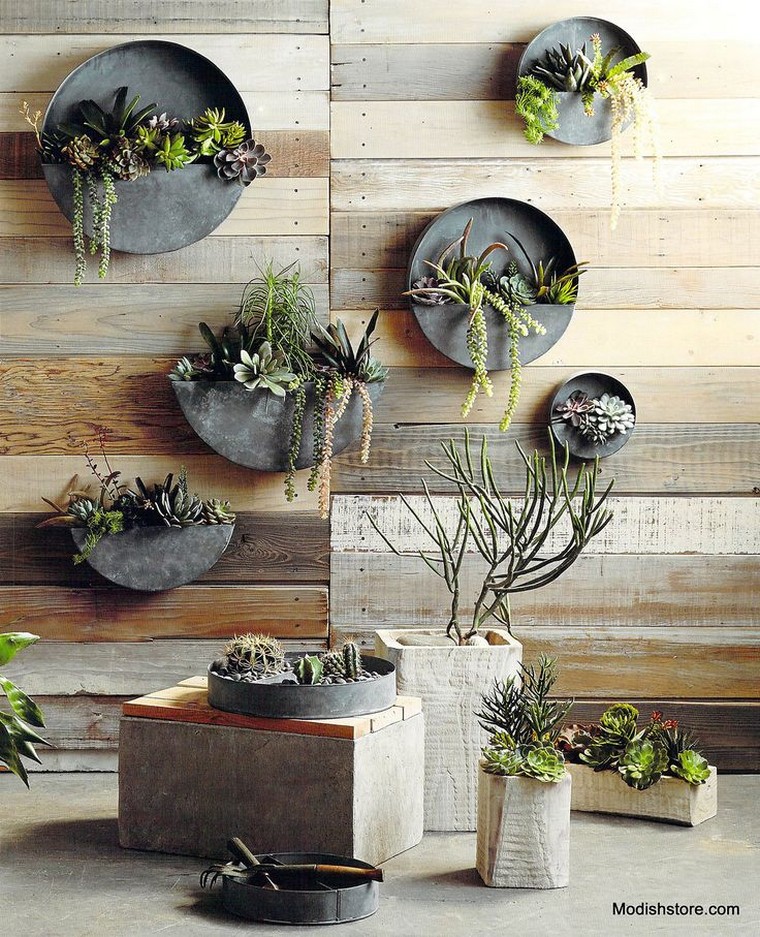 plantes-succulentes-jardin-vertical-diy-idee