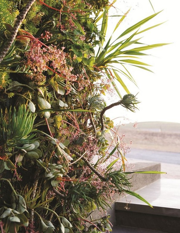 mur-vegetal-decorer-un-mur-vegetal