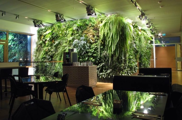 plant vertical garden office-space