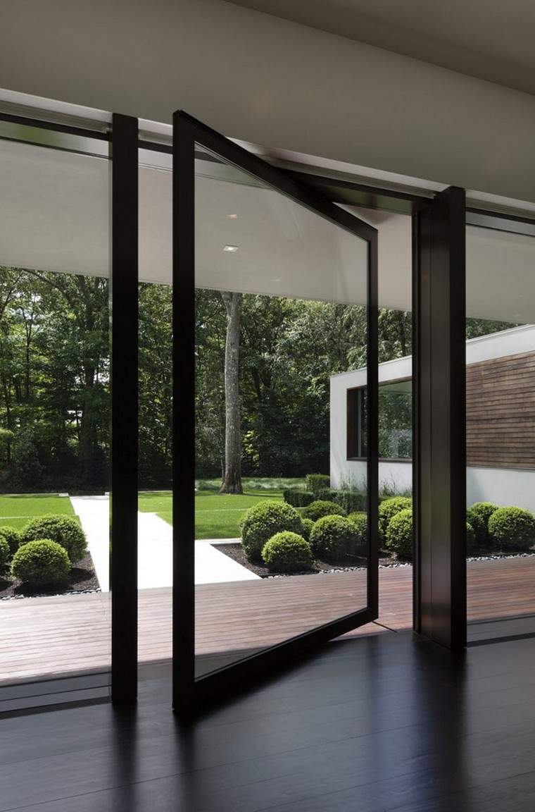 porte en verre pivotante moderne jardin design