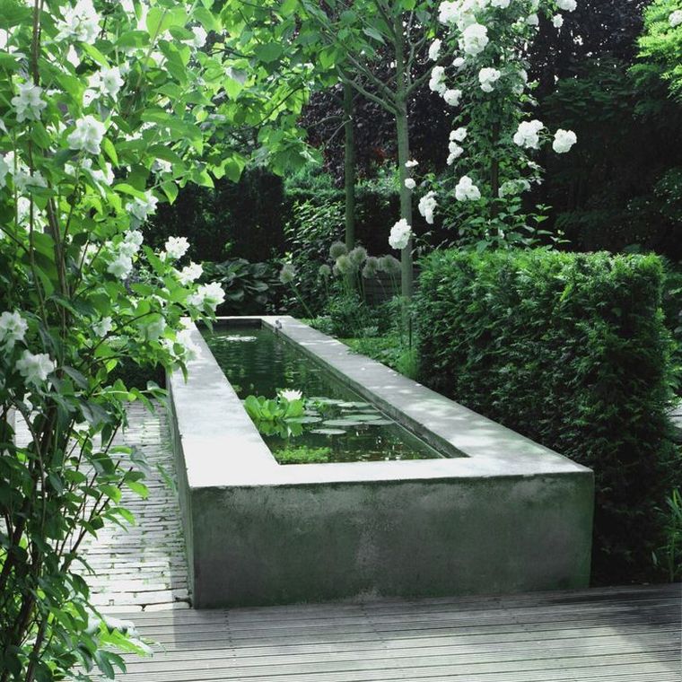 plante-aquatique-bassin-de-jardin-pinterest-deco-idee