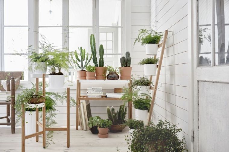 plantes-interieur-jardin-d'hiver-idee