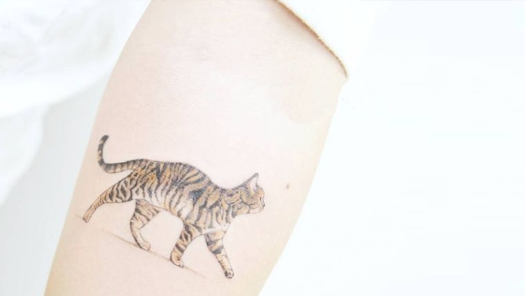 petit tatouage discret chat-pour-femme