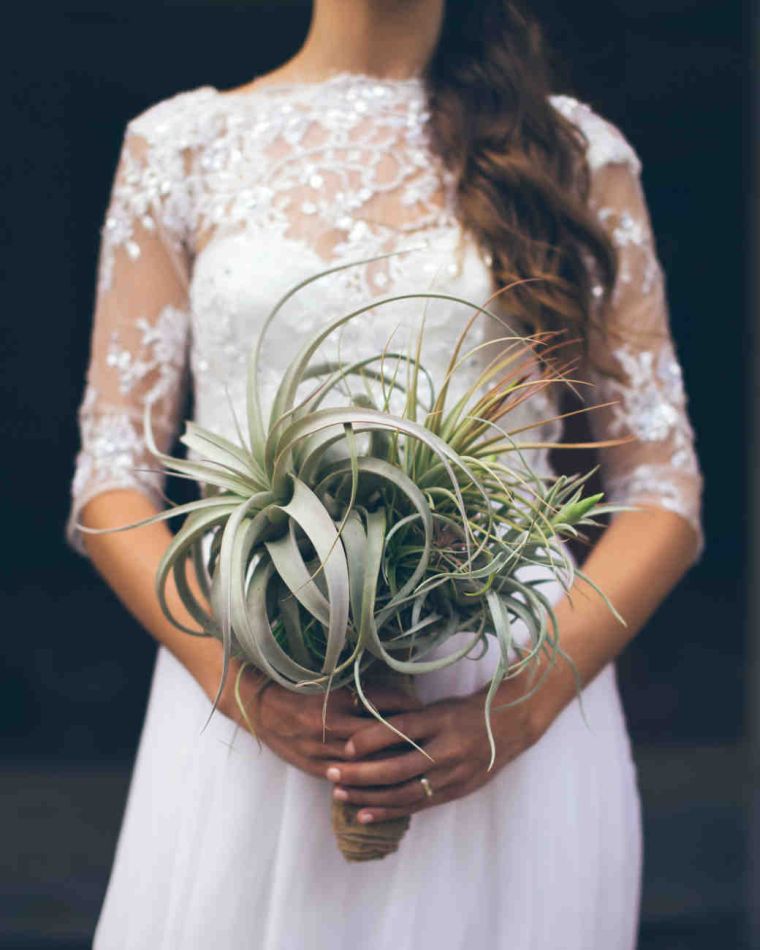 bouquet de mariée original-plantes-succulentes-vertes